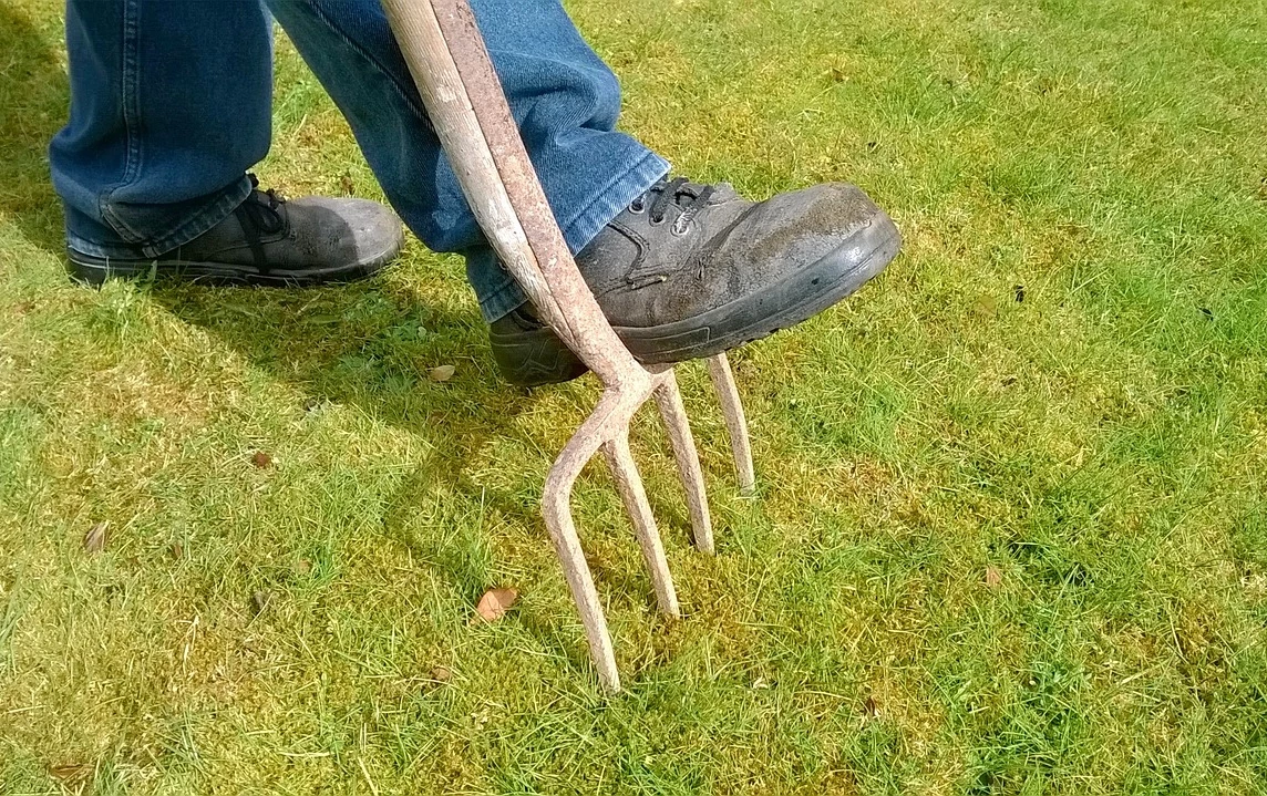 автополив-газона