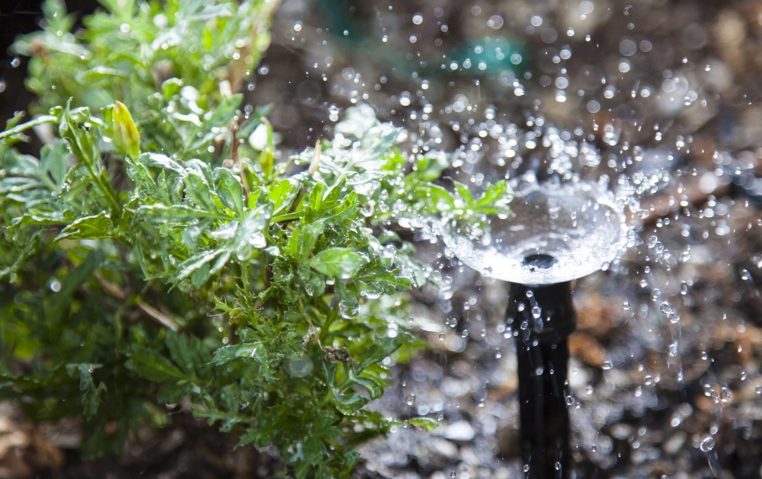 водорезетки-аквамен