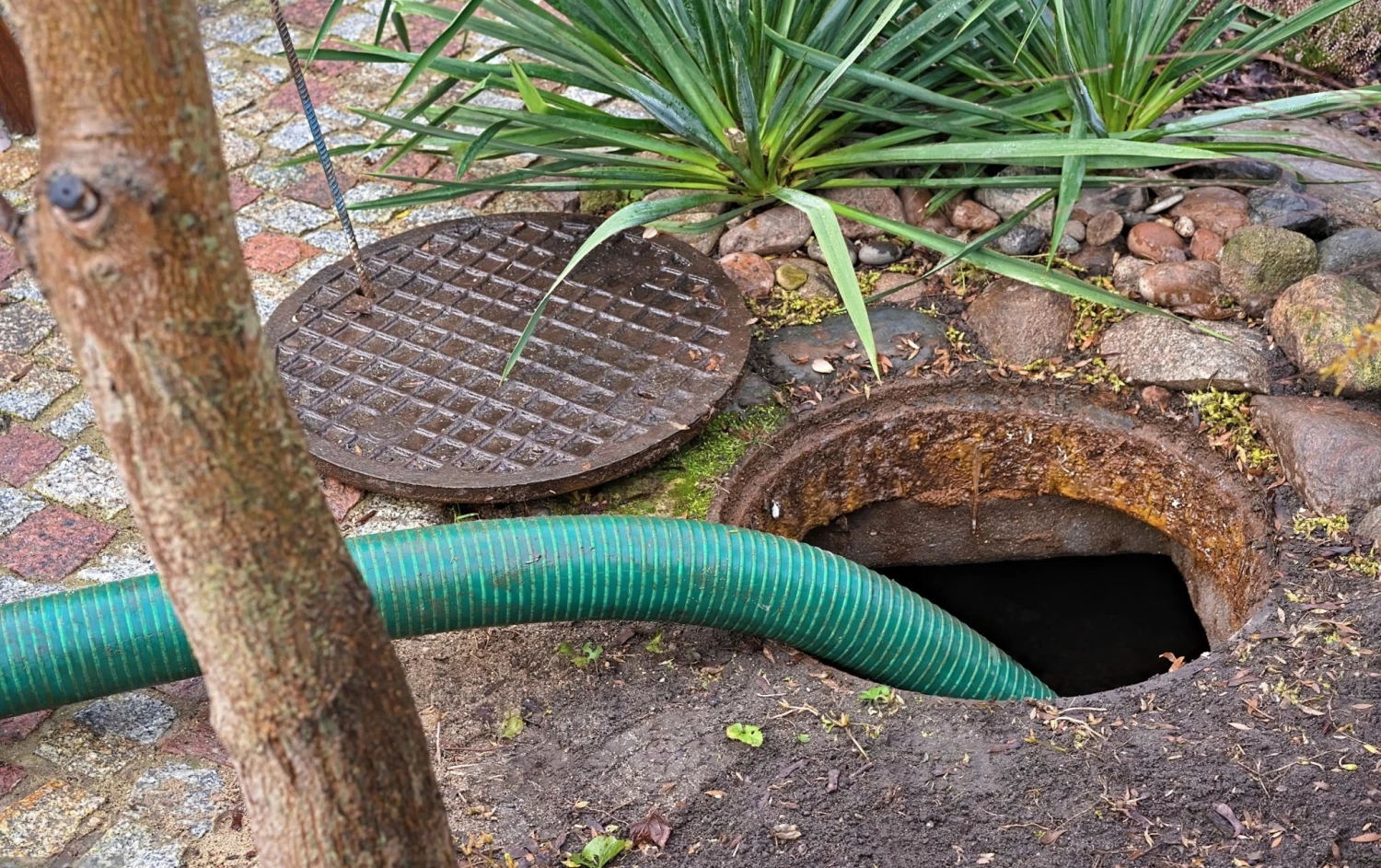 препараты-для-септика